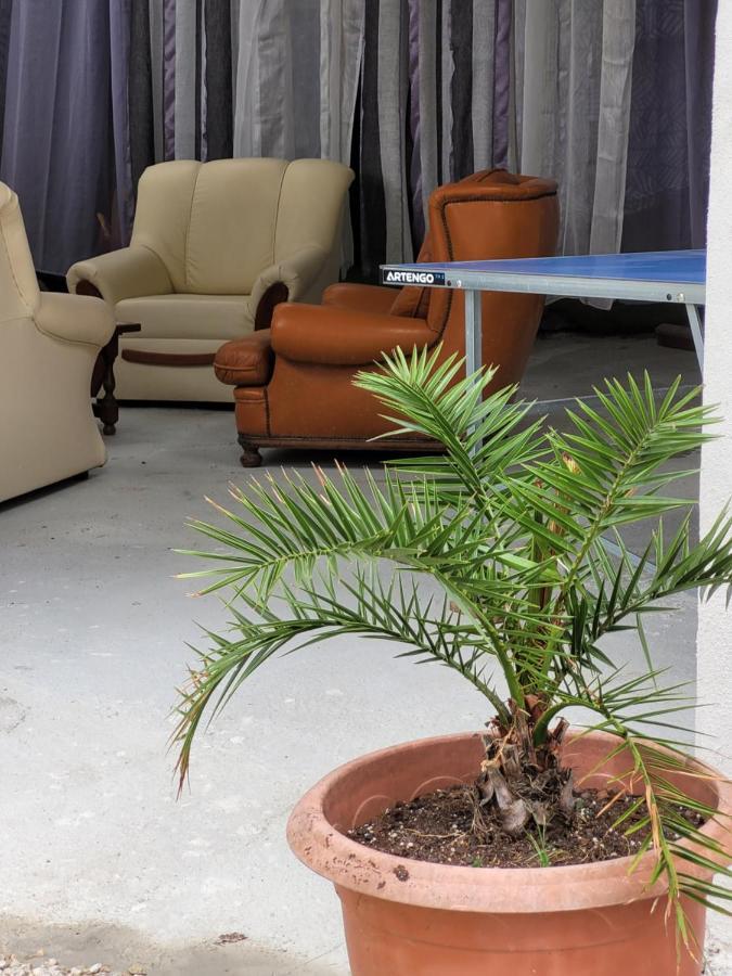 Studio Sequoia Au Pied Du Chateau Saumur Exterior foto